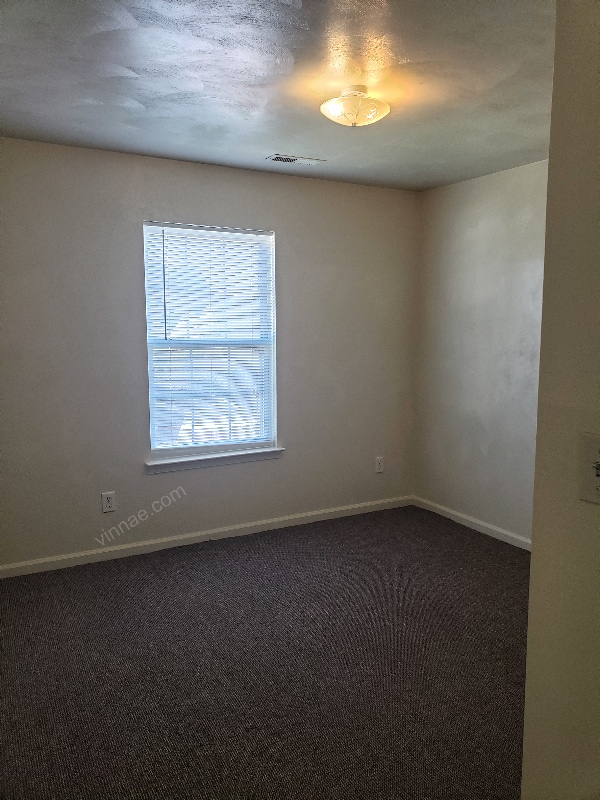 Building Photo - 805 Shadowberry Crest