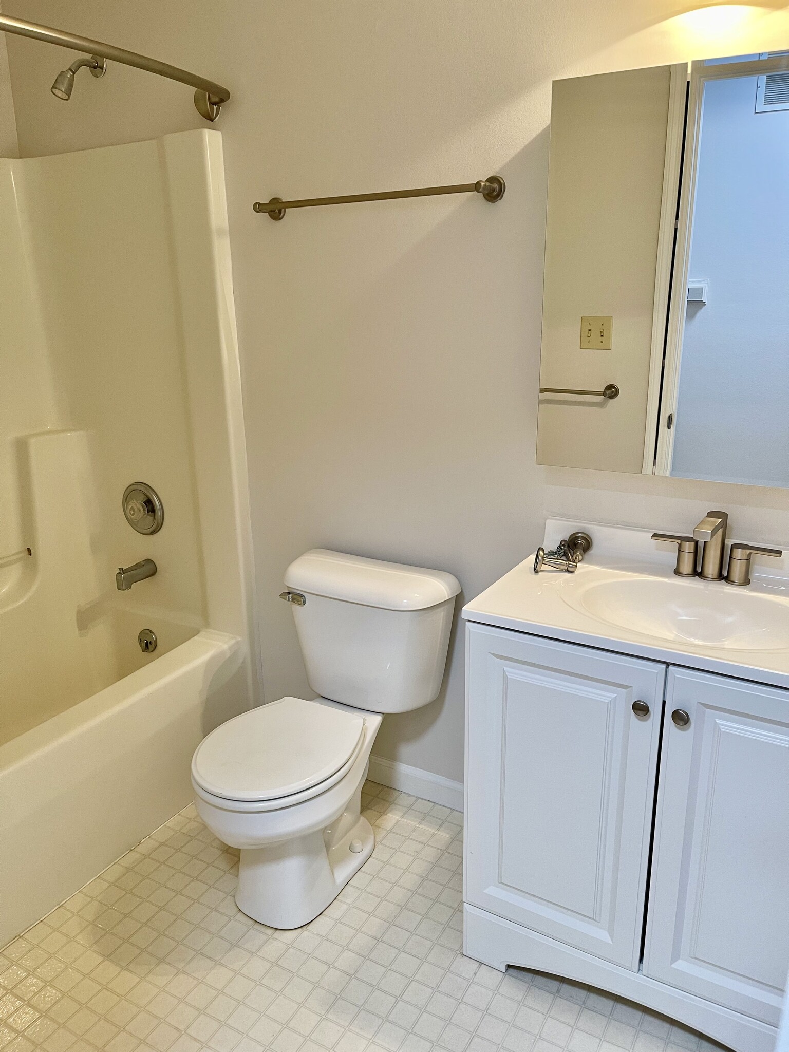 Hall Bathroom - 799 Tamarack Ct