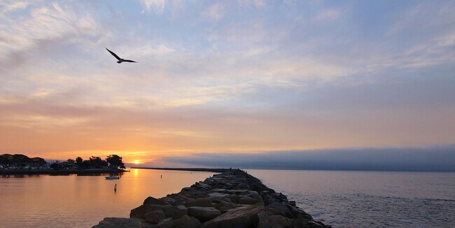 Building Photo - The Ultimate Coastal Escape: 3 Bedrooms with Panoramic Ocean Views in Gated Waterford Pointe!