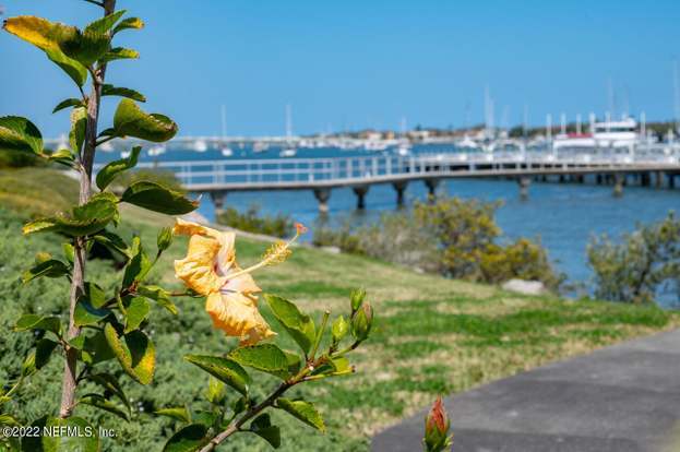 Building Photo - 157 Marine St