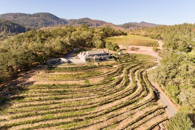 Building Photo - 3397 St Helena Hwy