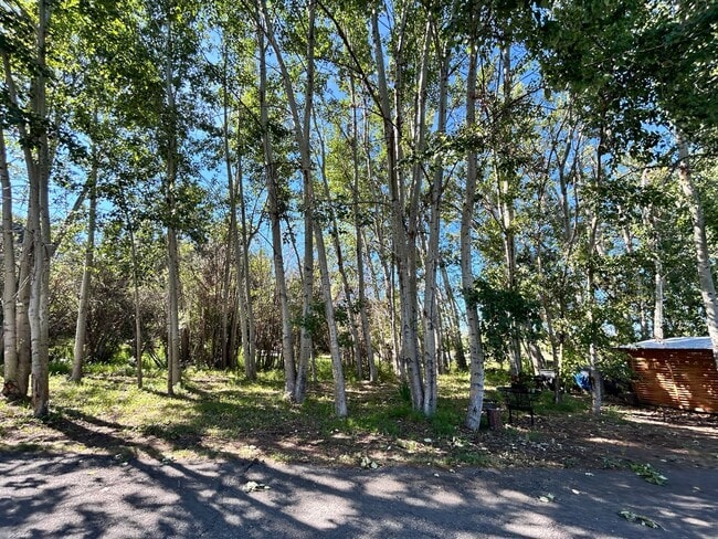 Building Photo - 957 N Shoshone Loop