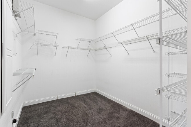 Building Photo - 3289 Cabot Cove Dr