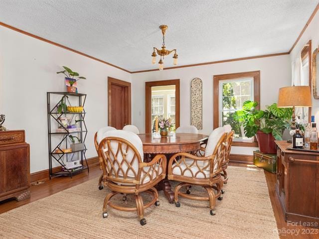 Building Photo - 181 Blake Dr