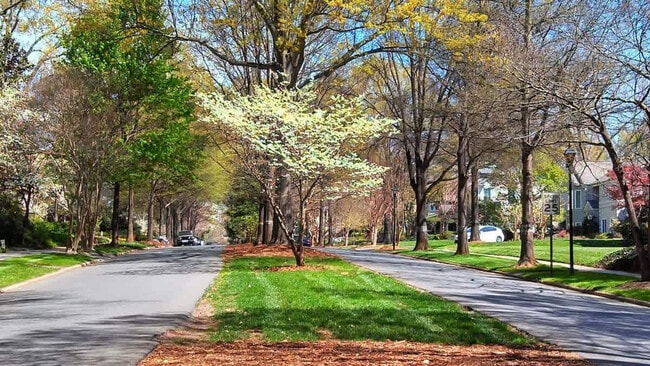 Building Photo - 500 Queens Rd