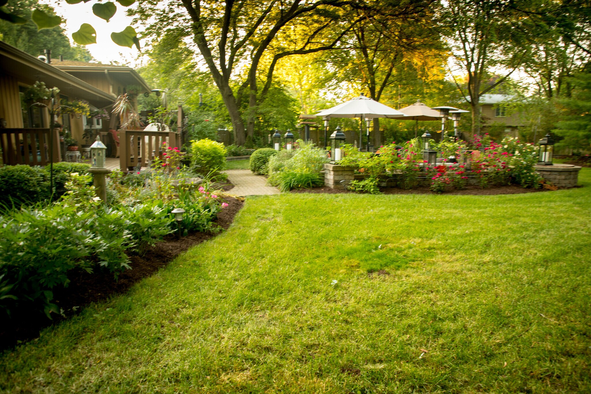 Yard - 28W461 Juanita Dr