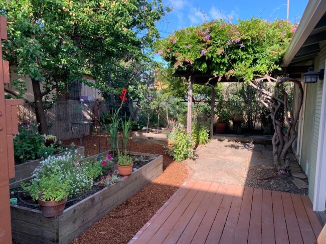 Back yard - 5495 Fairfax Ave
