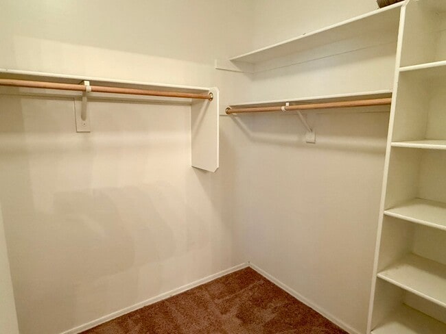 Building Photo - 4 Bedroom | 2 Bath - Single Story Home in Village at Queen Creek