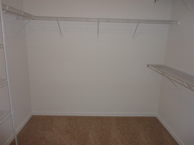 Building Photo - 2512 Holly Pine Cir