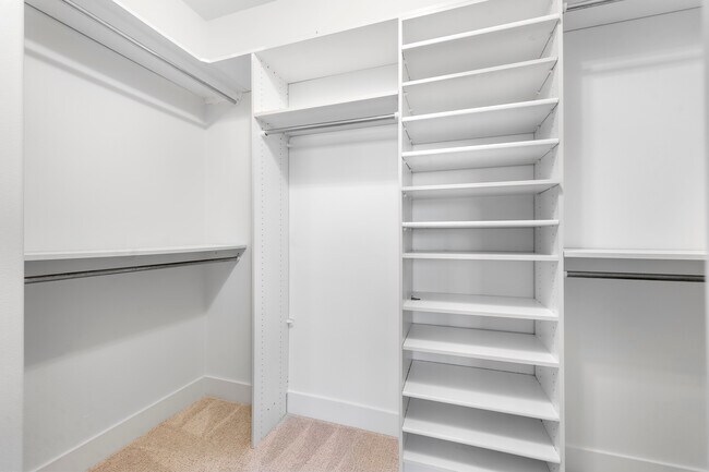 Building Photo - 19 Vinca Ct