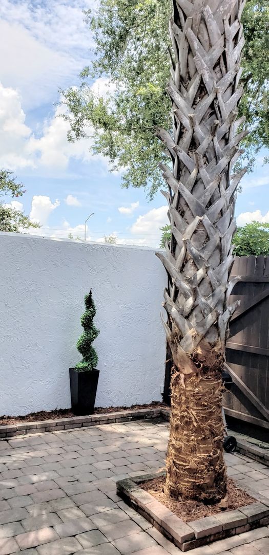 Building Photo - Beautiful  Furnished 1/1 condo x Rent  in Winter Park Next to Full Sail University !