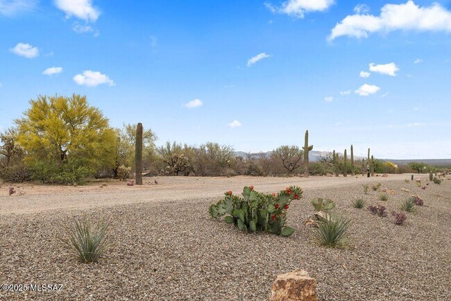 Building Photo - Beautiful Home in Rancho Sahuarita!