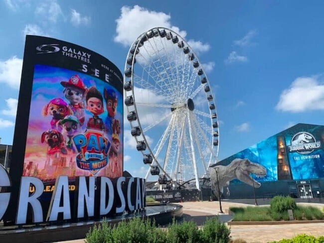 Building Photo - 5445 Town and Country Blvd