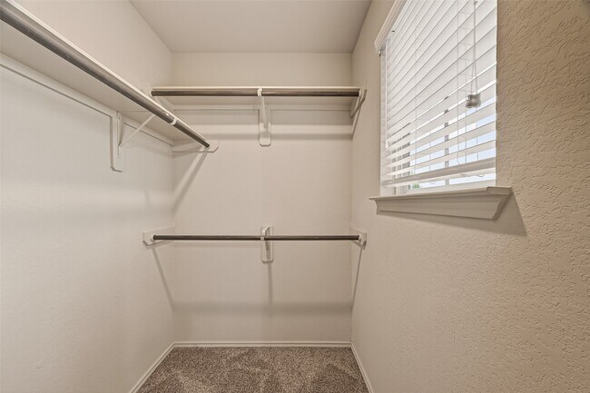 Building Photo - 23506 Umbrella Pine Dr