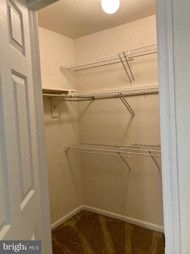 Building Photo - 2819 Berth Ct