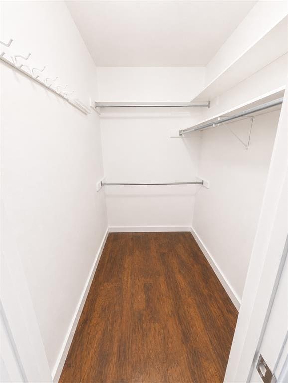 Building Photo - 305 Starbright Dr