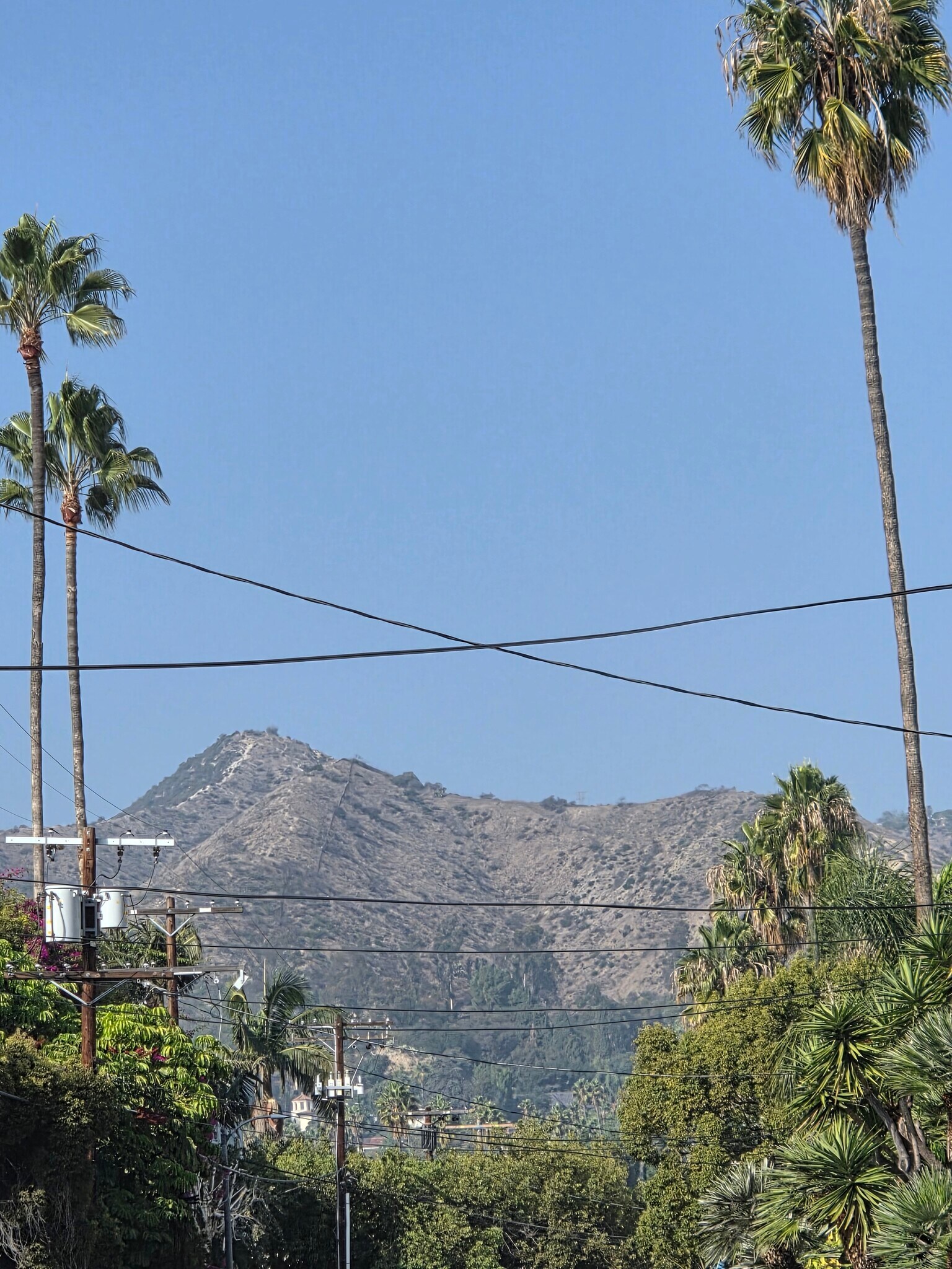 Building Photo - 1344 N Martel Ave