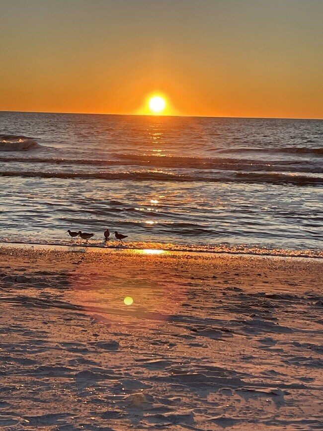 Building Photo - Gorgeous 2/2 condo at Indian Shores