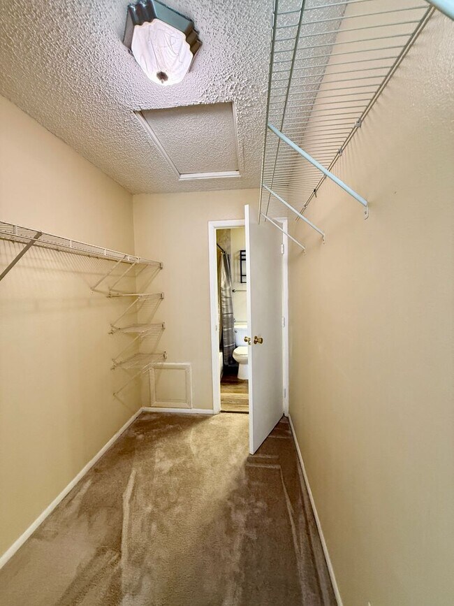 Building Photo - Belleair Village Condo 1/1 Open floor plan