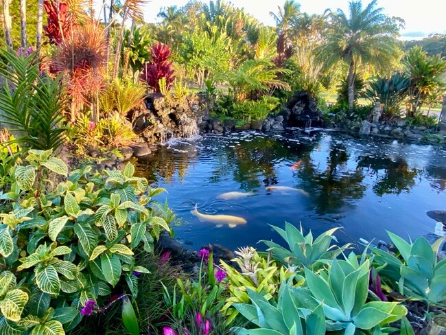 Building Photo - 630 E Kuiaha Rd