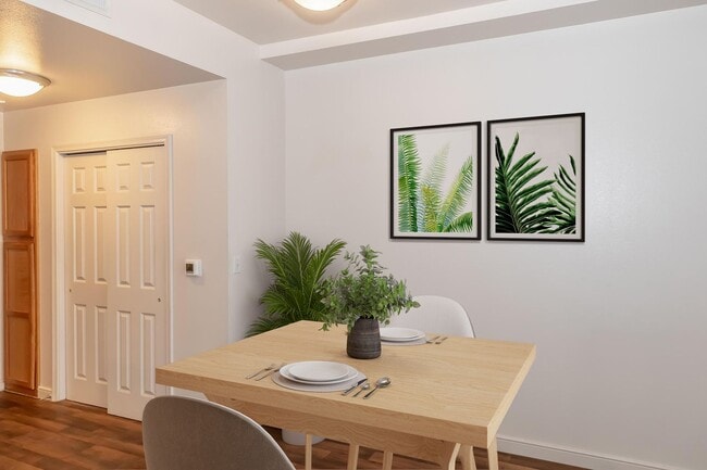 Interior Photo - La Cascada II Apartments