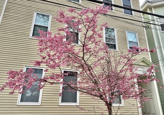 Building Photo - 133 Webster Ave