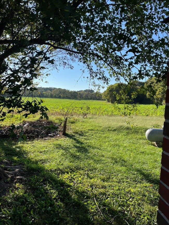 Building Photo - 3 bedroom 1 bath brick home in the country...