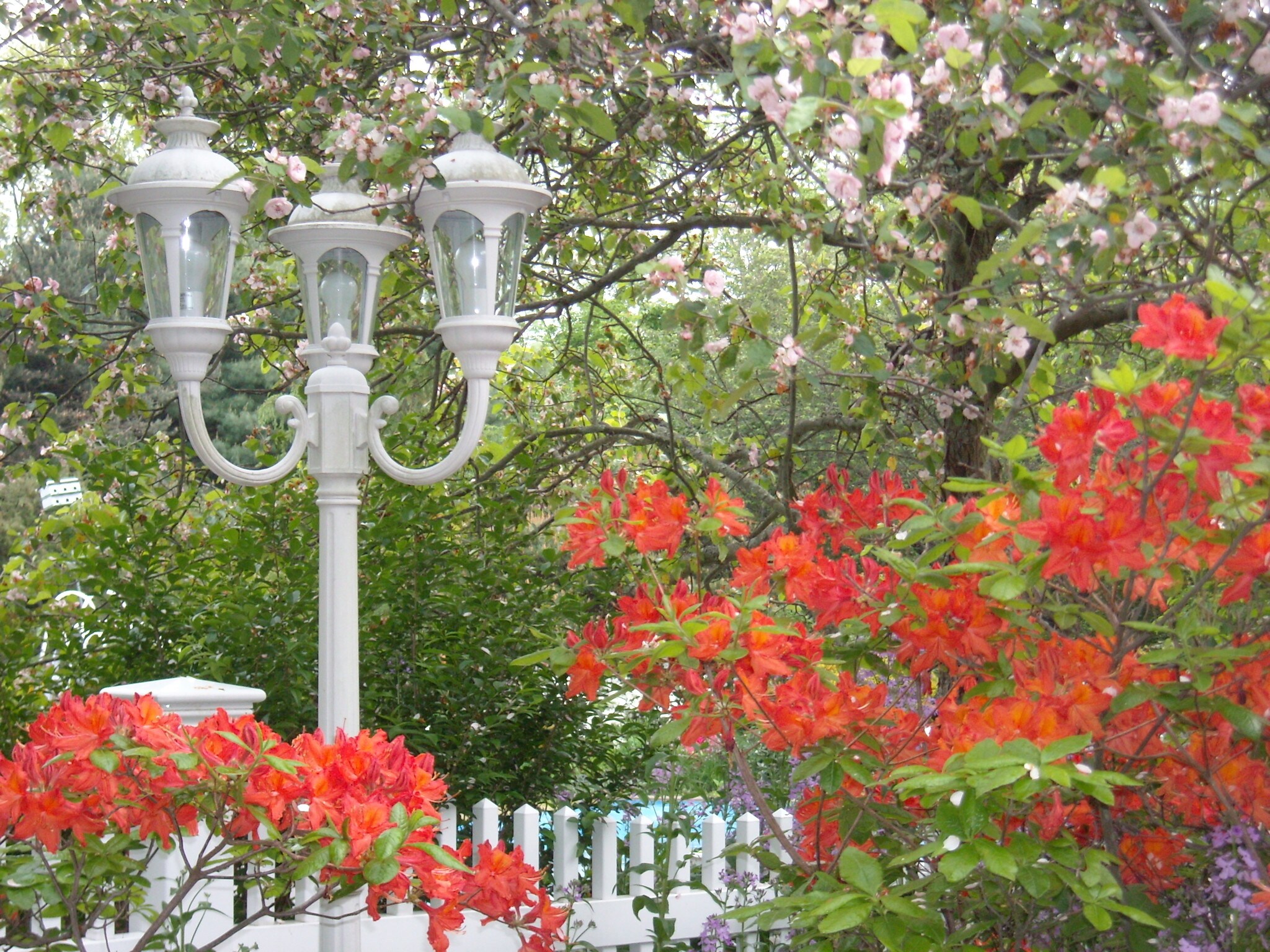 Building Photo - 170 Mill Plain Rd