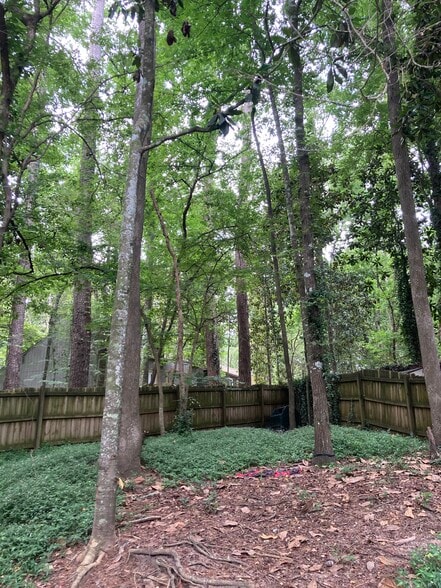 Backyard - 171 Parkbrook Cir