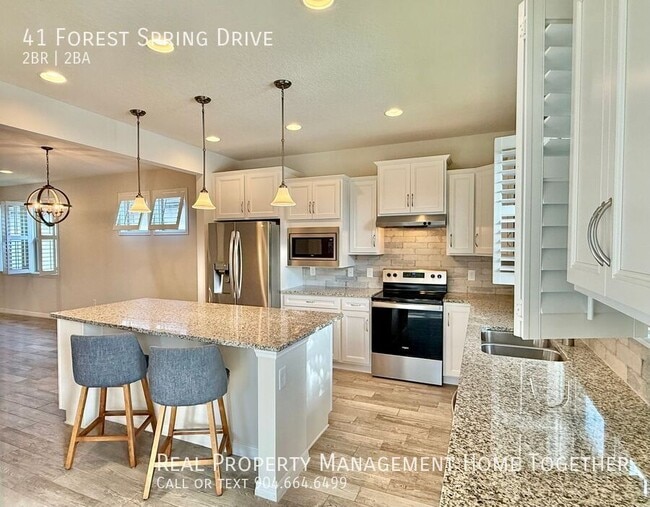 Building Photo - 41 Forest Spring Dr