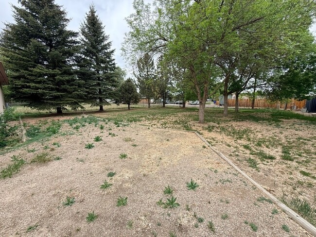 Building Photo - Updated 2-Bedroom Home with Oversized 1-Car Garage in Central Loveland
