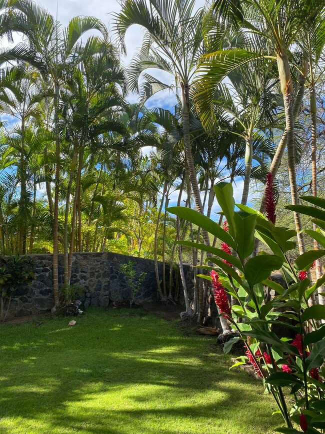 Building Photo - Tropical oasis