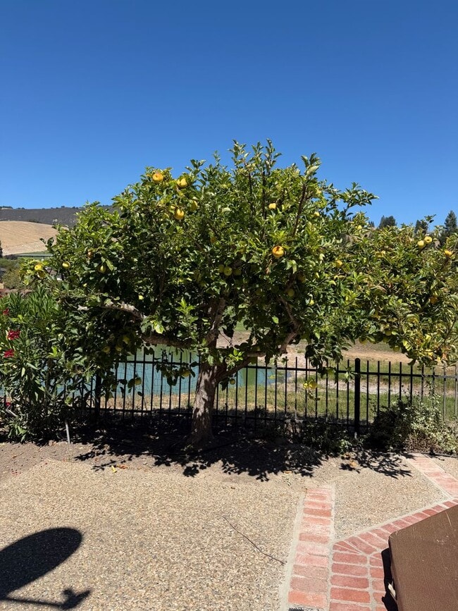 Building Photo - 742 Liquidamber Pl