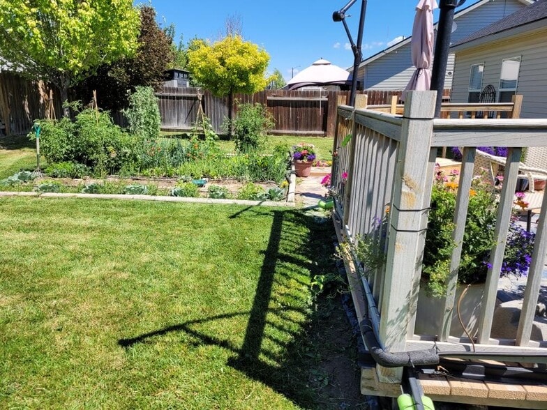Back yard in summer - 776 Parkwood Dr