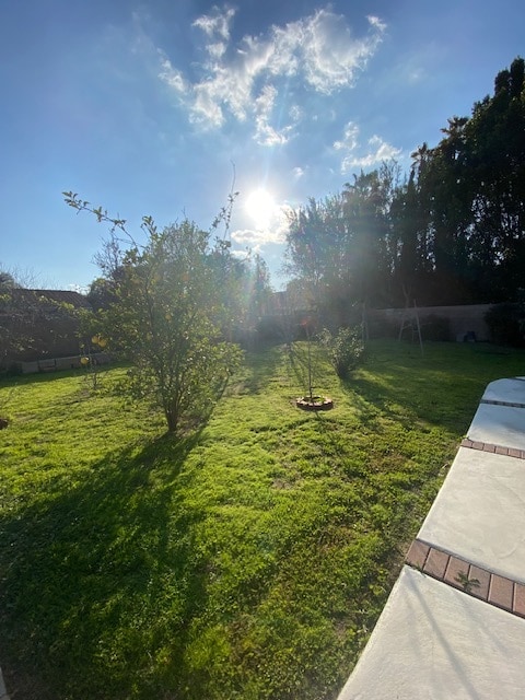 Back Yard - 6257 Fallbrook Ave