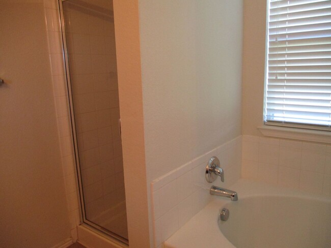 Building Photo - Newly renovated 4/2/2 in Windmill Farms $1950