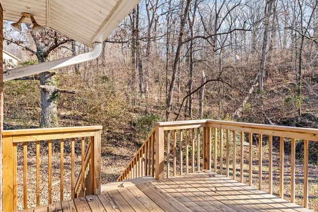 Building Photo - Newly Updated 4bd/3bth in Seymour!