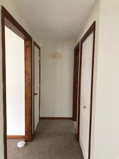 Building Photo - 23 Editha Ave