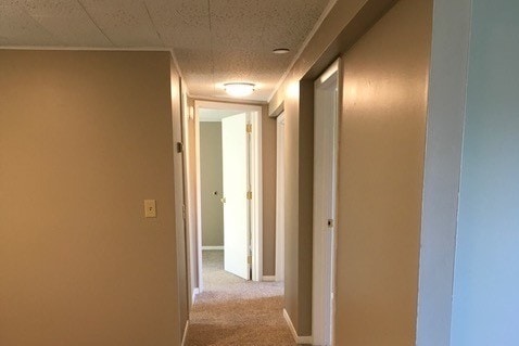 Hallway - 62 Laurel Hill Dr
