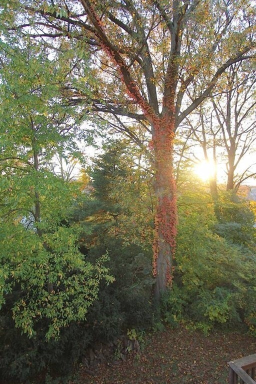 Building Photo - 47 Lewis St