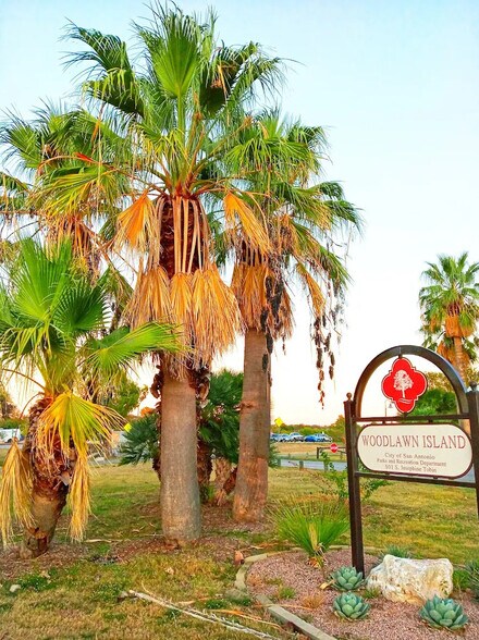 Woodlawn Island - 623 Donaldson Ave