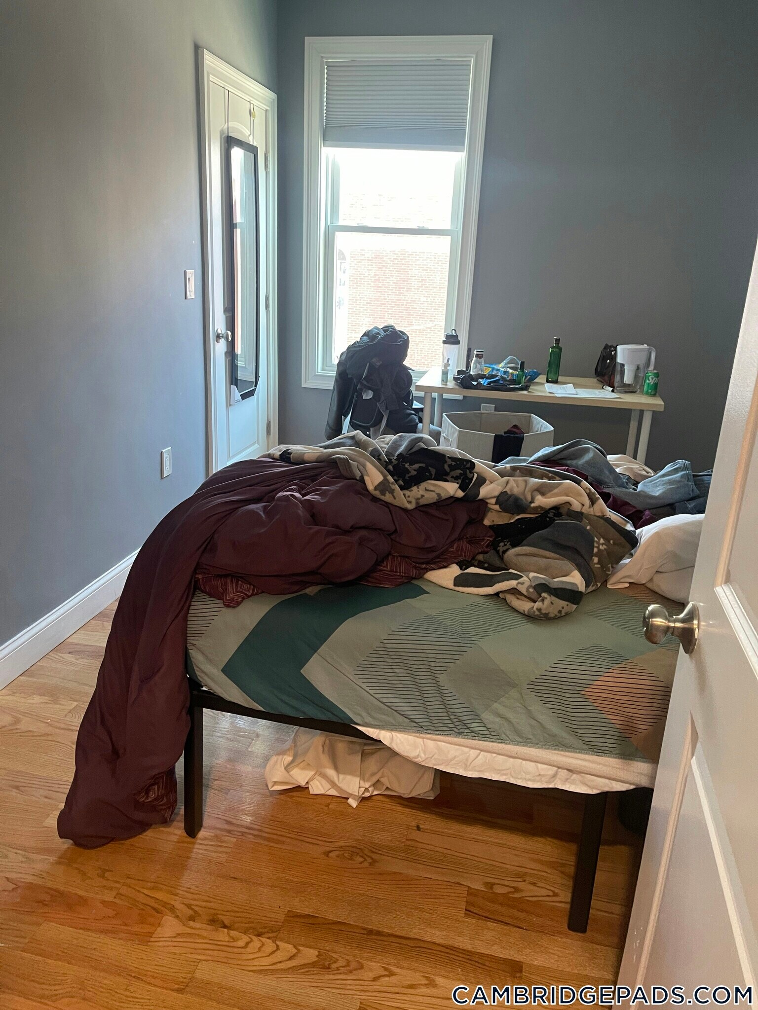 Building Photo - 339 Cambridge St