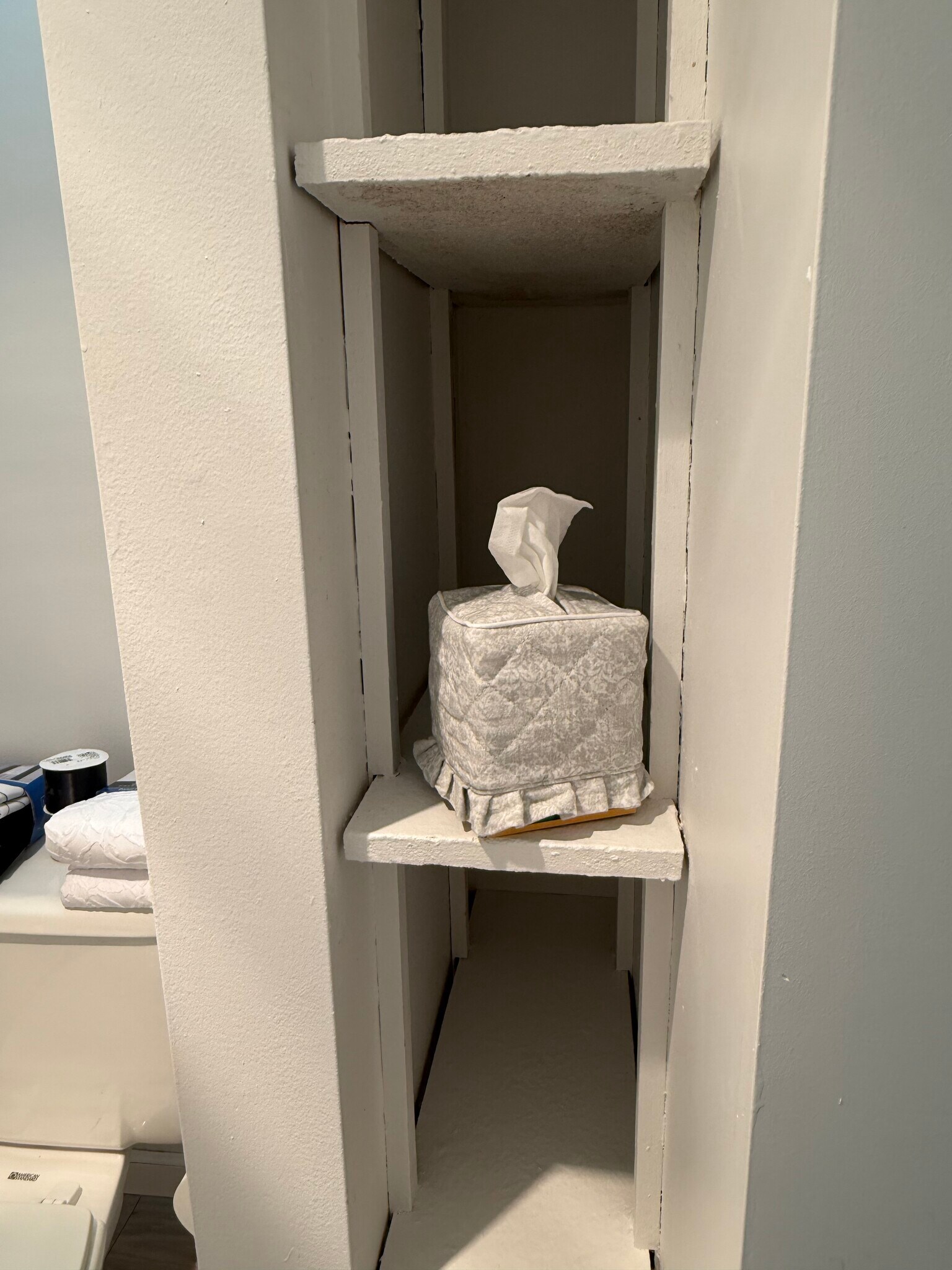 Storage shelves in Main Bath - 1053 Danby Rd