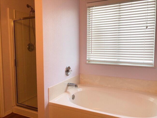 Building Photo - 4 bedroom/2.5 Bath Retama Springs Subdivision