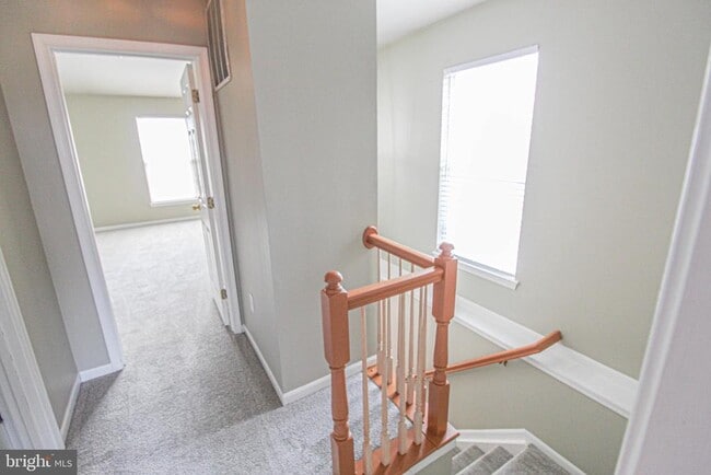 Building Photo - 13014 Shamrock Glen Dr