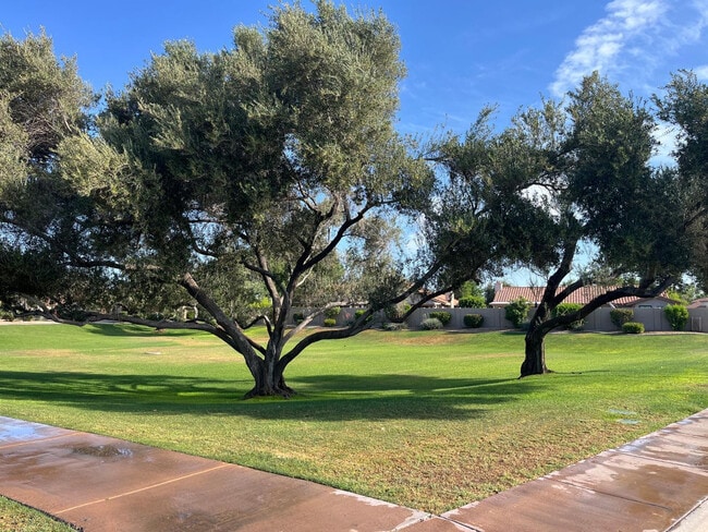 Building Photo - 187 W Amanda Ln