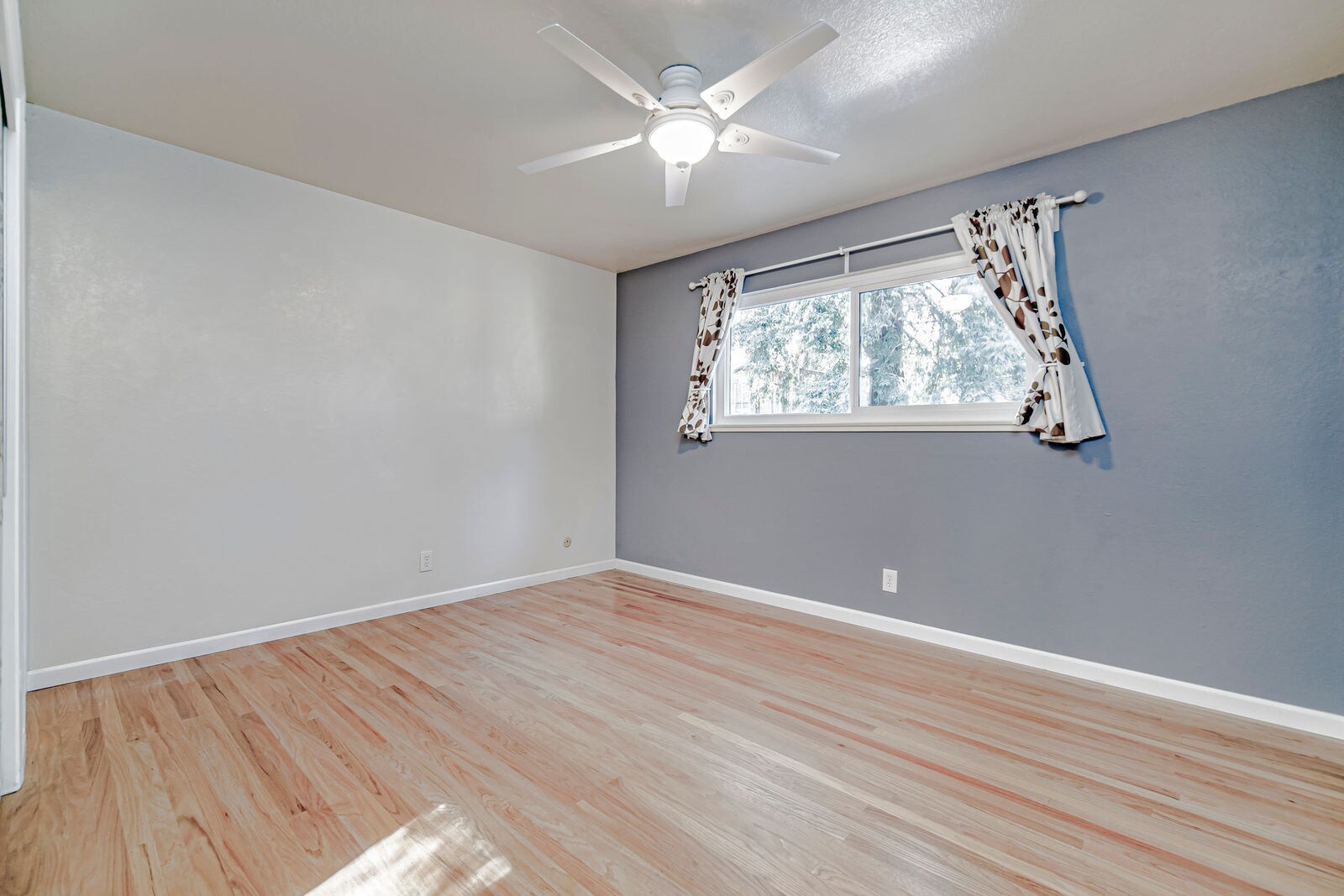 Building Photo - 1108 Alice St