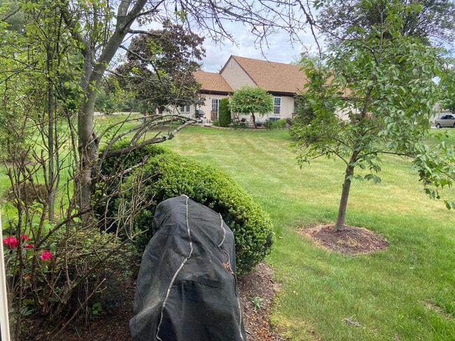 Building Photo - 8C Benjamin Franklin Dr