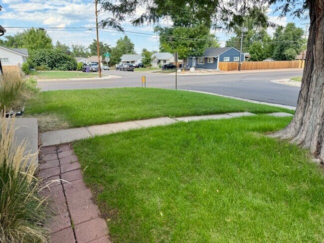 Building Photo - FREE AUGUST RENT!! - Harris Park Brick Ranch