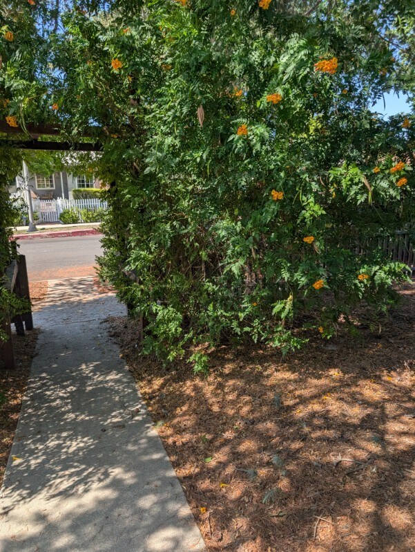 Building Photo - 14656 La Maida St
